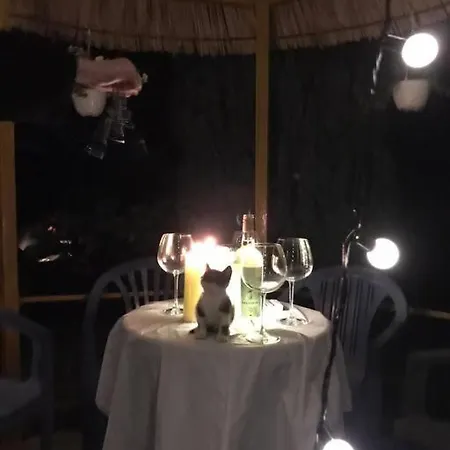 Holiday home Summer House - For 2 People In 2nd Floor Velipoje