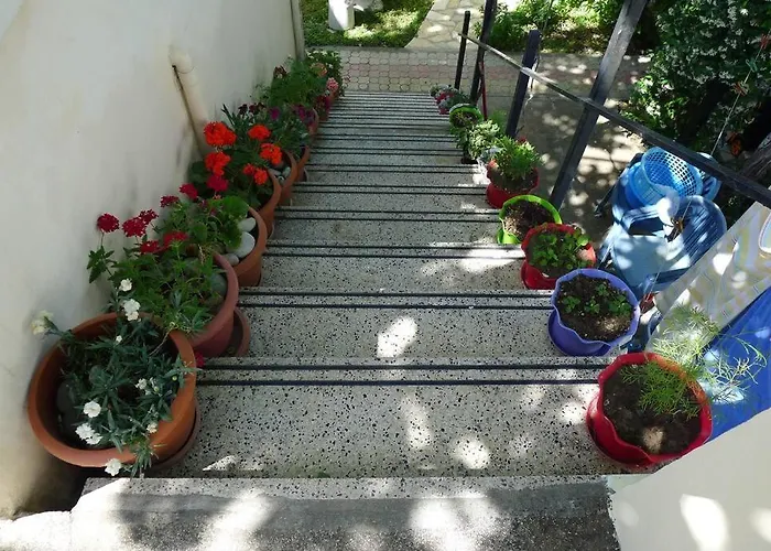 Summer House - For 2 People In 2nd Floor Velipojë
