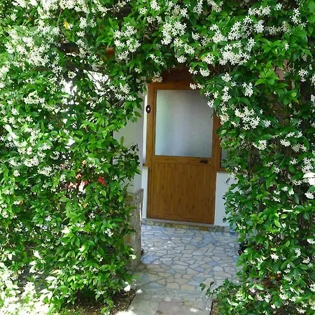 Summer House - For 2 People In 2nd Floor Дом отдыха *