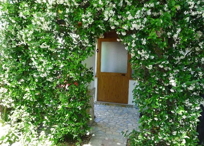 Summer House - For 2 People In 2nd Floor Prázdninový dům *